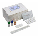 Dutch Diagnostics Strep-A Pro Schnelltest, Kassettentest,...