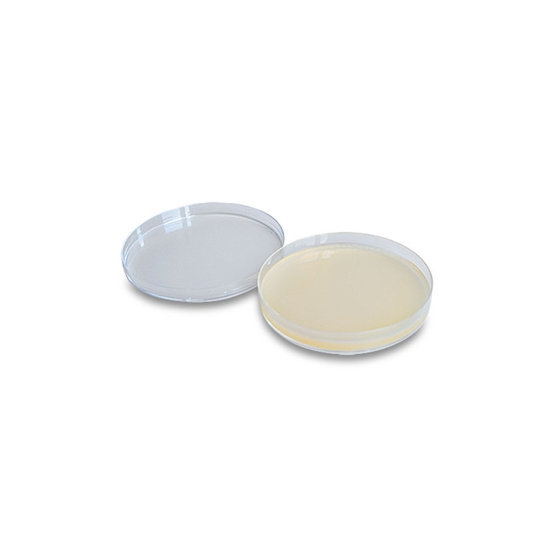 Servoplate C3 10413 Sabouraud 2% Glucose Agar, Nährböden, 20 Stück
