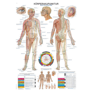 Anatomische Lehrtafel Körperakupunktur 70 x 100 cm - in Deutsch und Englisch